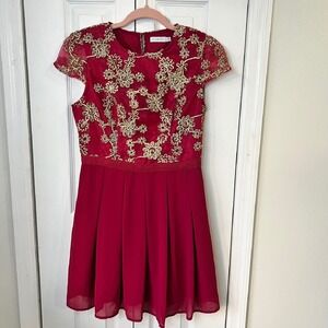 Jun Ivy Gold Applique Fit Flare Mini‎ Dress Size Small Berry Pink and Gold